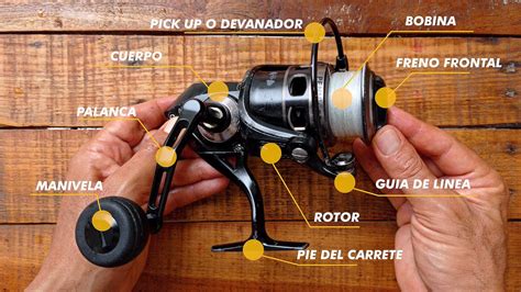 Carrete De Pesca Spinning Mantenimiento YouTube