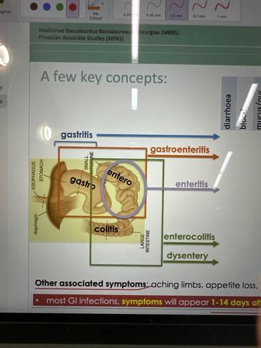 Gi Infection Microbio Flashcards Quizlet