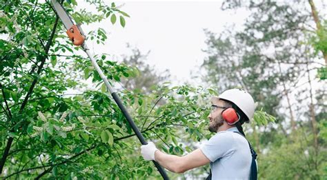 Best Pole Saws for 2023 (Reviews, Top Picks & Comparisons) - Chainsaw Larry