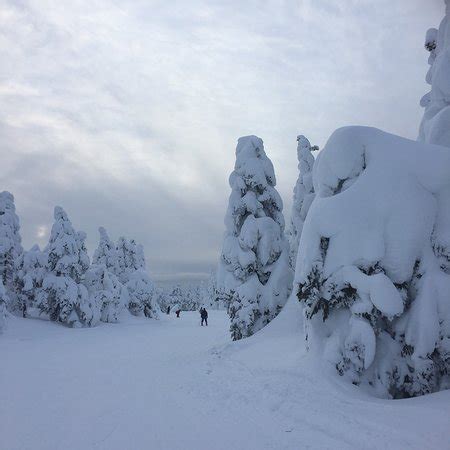 Yamagata Zao Onsen Ski Resort - 2019 All You Need to Know BEFORE You Go ...