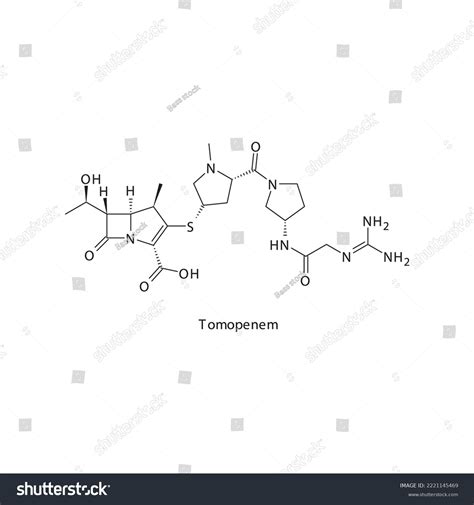 Tomopenem Flat Skeletal Molecular Structure Carbapenem Stock Vector ...