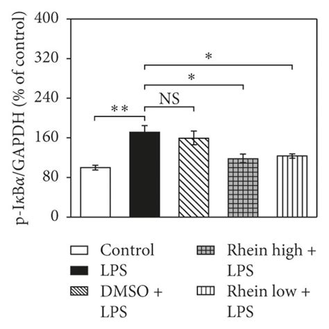 Effects Of Rhein On Tlr Nf B Pathway Components In Lps Stimulated Bv