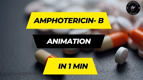 Amphotericin B Mechanism Of Action Animation Dr Nikita