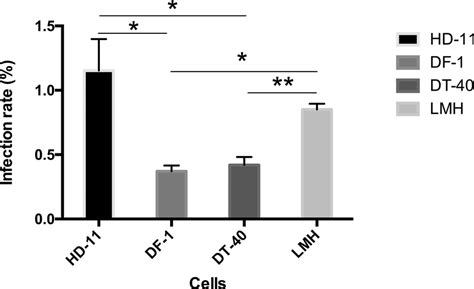 Infection Of S Pullorum Strain S06004 In 4 Chicken Cell Lines The