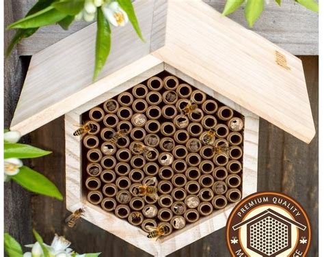 20 Kits Wood Bird House Kit Collection Etsy Mason Bee Hive Mason Bee