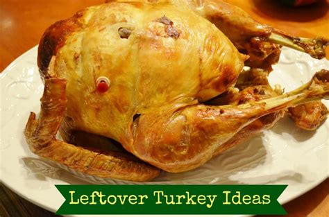 What To Do With Thanksgiving Turkey Leftovers 101