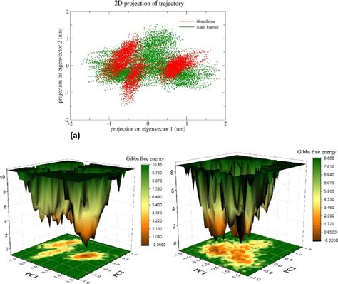 Principal Component Analysis And Gibbs Free Energy Landscape A 2d