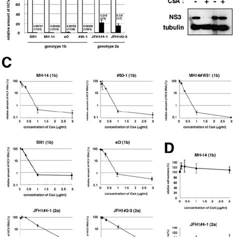 Amino Acid Sequence Alignment Of Ns B Encoded By Hcv Strains Nn Con