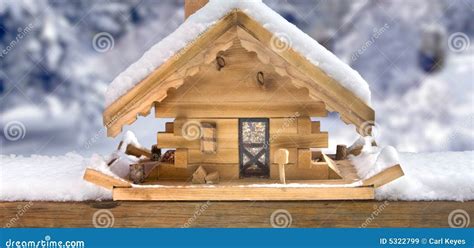 Wood Project Ideas: Useful Winter bird house plans