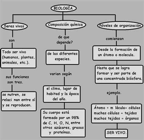 Diferencia Entre Mapa Conceptual Y Mapa Semantico Brainly Lat