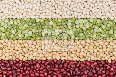 Legumes secos multicoloridos para o fundo feijão seco diferente