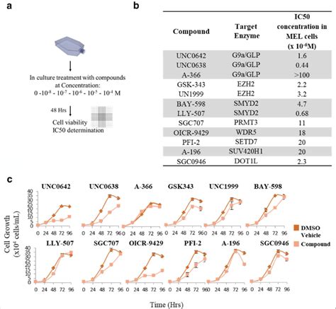 Assessment Of The Effects Of The Epigenetic Probes On MEL Cell