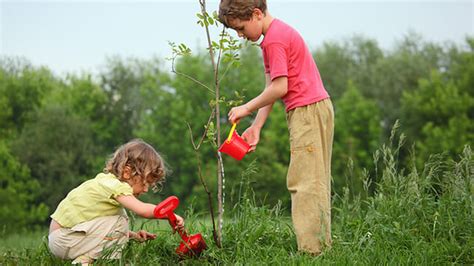 Día Mundial Del Medio Ambiente 5 Geniales Ideas Para Concientizar A