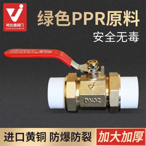 Double Active Ball Valve PPR Water Pipe Fittings Switch Joint Hot Melt Switch Point Val