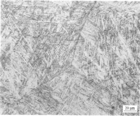 钛及钛合金 金相图谱1 钢铁知识 常州精密钢管博客网
