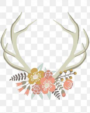 Deer Antler Clip Art Flower Horn PNG 1024x731px Deer Antler