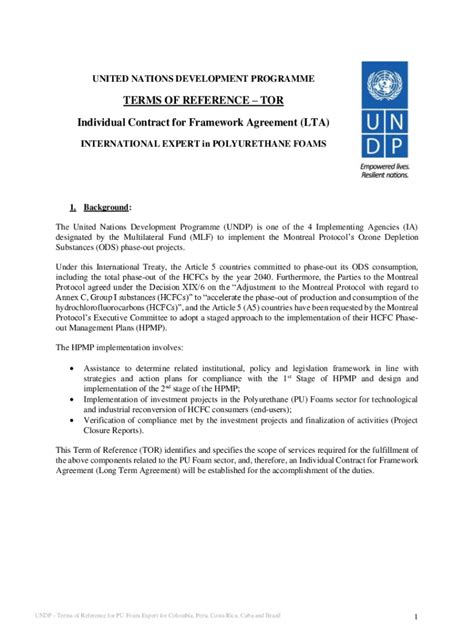 Fillable Online Procurement Notices Undp Tor Individual Contract For