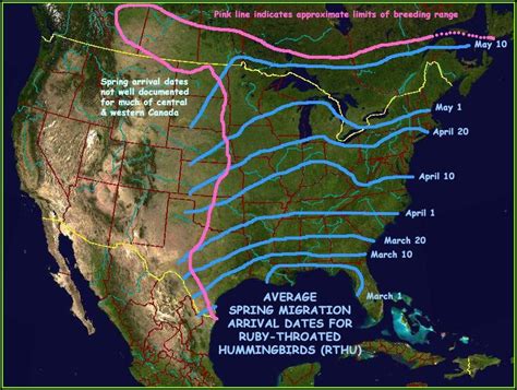 Orioles Bird Migration Map Map : Resume Examples