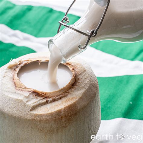 Chinese Coconut Milk Drink Recipe - Earth to Veg