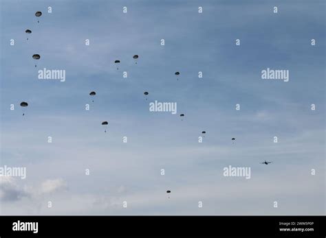 Us Air Force And Us Army Jumpers Descend After A Jump During A Fly