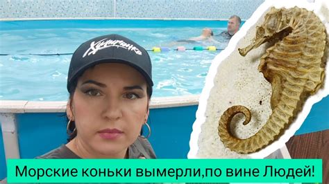 Нашла в бассейне такую находку,такой красивый,жалко его - YouTube