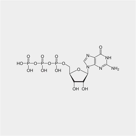 Guanosine-5'-triphosphate (GTP) is a purine nucleoside triphosphate. It ...