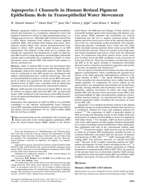 PDF Aquaporin 1 Channels In Human Retinal Pigment Epithelium Role In