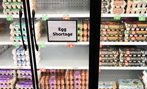 Why Eggs Are So Expensive Right Now | TIME