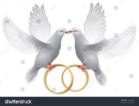 Wedding Doves Rings Symbol Love Wedding Stock Vector 77680867