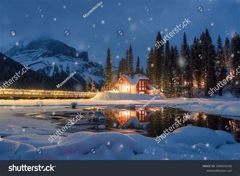 Winter Night Landscape: Over 253,172 Royalty-Free Licensable Stock ...