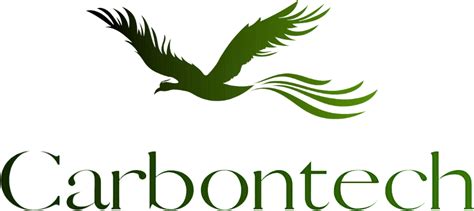 coconut based activated carbons carbontech