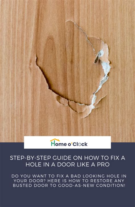 Step By Step Guide On How To Fix A Hole In A Door Like A Pro Hollow