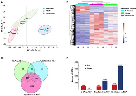 General Transcriptomic Profile Of E Voratum Under Three N Treatment Download Scientific