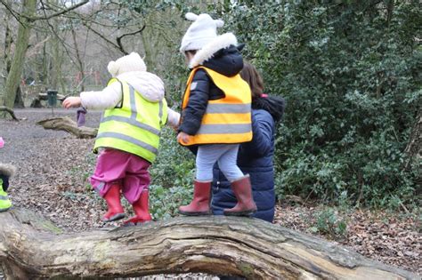 Nursery And Reception Explore In The Woods Norfolk House School London