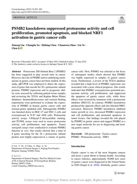 Psmb2 Knockdown Suppressed Proteasome Activity And Cell Proliferation