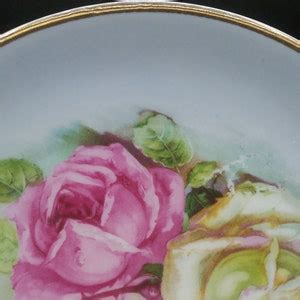 Ct Altwasser Germany Vintage Porcelain Collectors Plate With Pink And