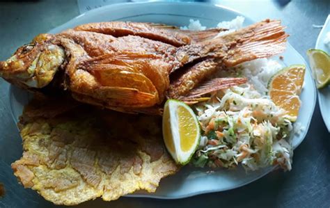 Pesca Deportiva Mi Lago Palmira Valle Del Cauca