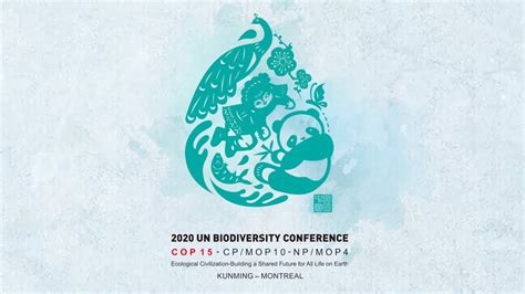 China Releases Video To Show Commitment To Biodiversity Ahead Of Cop15