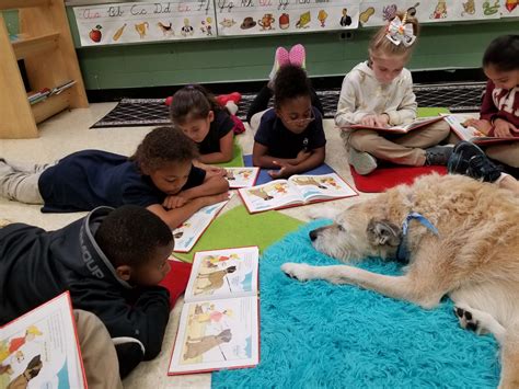 Should Schools Have Therapy Dogs