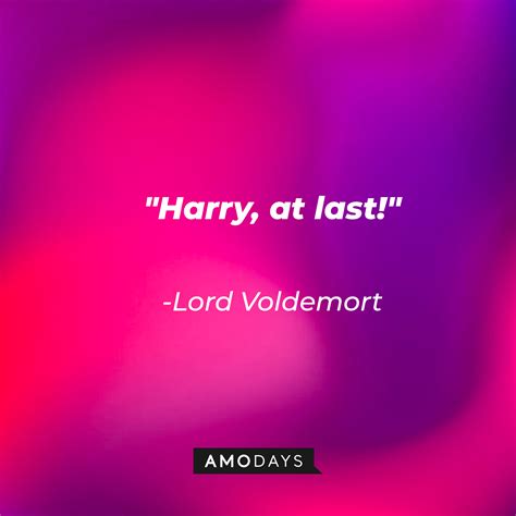 63 Goblet of Fire Quotes for All the Ardent Potterheads to Reminisce