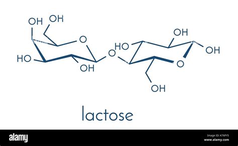 Lactose Milk Sugar Molecule Skeletal Formula Stock Vector Image And Art Alamy