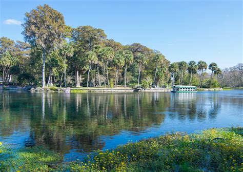 Things to do in Ocala, FL - World Equestrian Center