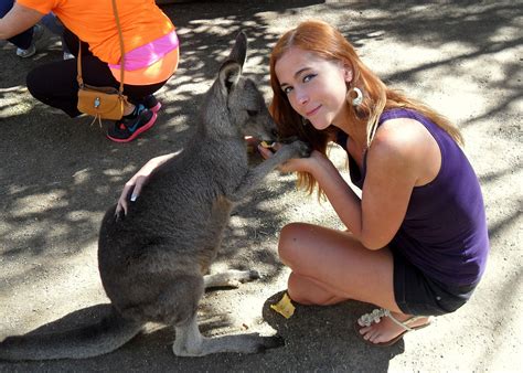 Why Visit Featherdale Wildlife Park near Sydney? | Anna Everywhere