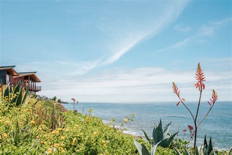 Summer Picnic at Sunset Cliffs, Ocean Beach | World's most beautiful ...