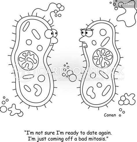 Mitosis Cartoons and Comics - funny pictures from CartoonStock