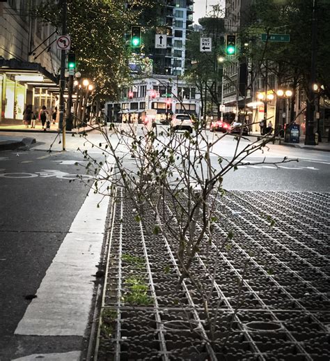 Business owners protest the new figueroa avenue bike lane plan 36