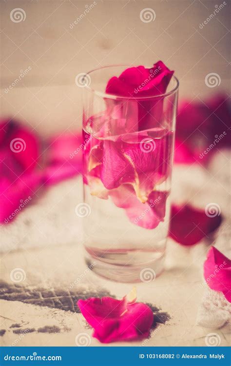 Rose Petals In A Bowl Of Water Stock Photo Image Of Essential Aroma