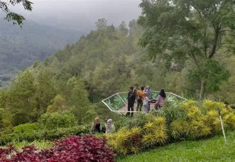 Kawasan Taman Langit Gunung Banyak Ditetapkan Sebagai Shelter Tourism