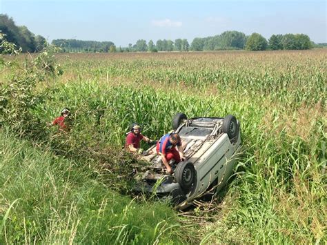 Punto Da Una Vespa Ha Uno Choc Anafilattico Esce Di Strada In Auto