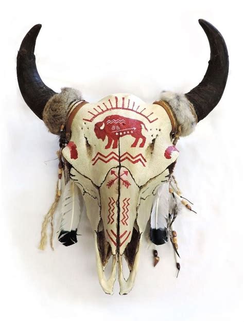 Unique Animal Skull Art with Horns and Feathers